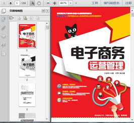 《電子商務企業運營管理培訓與服務 216頁精要指南》