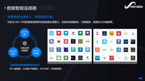 軟件能力，重新想象 數睿數據出席Njsd2021第七屆全球軟件大會，共話數字文化創意軟件開發新篇章